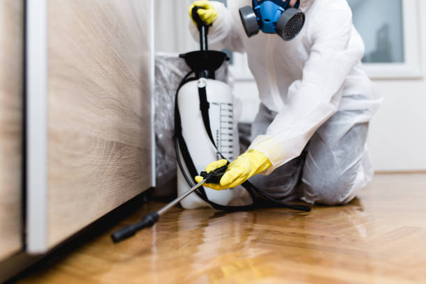 Best Termite Control Services  in Midland City, AL