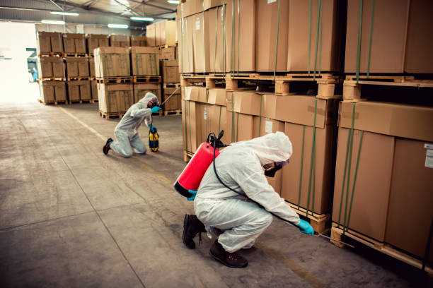 Professional Pest Control in Midland City, AL