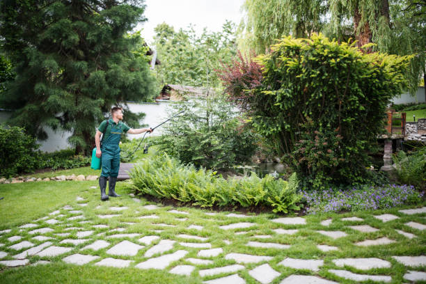 Best Ant Control Services  in Midland City, AL