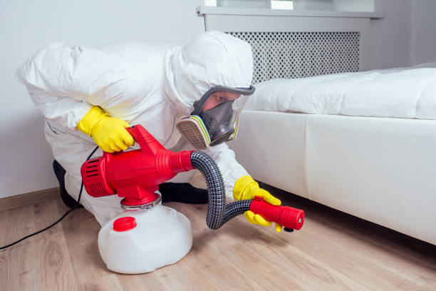 Best Emergency Pest Control  in Midland City, AL
