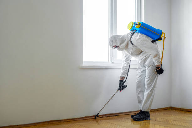 Best Wasp Removal Services  in Midland City, AL