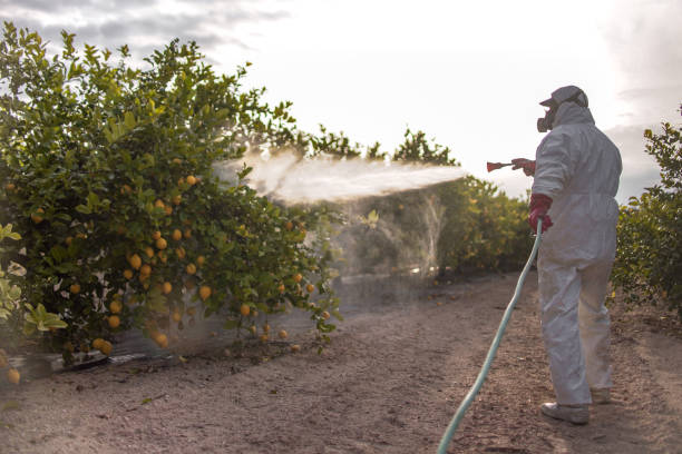 Best Affordable Pest Control Services  in Midland City, AL