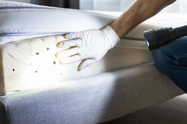 Best Best Pest Control Companies  in Midland City, AL