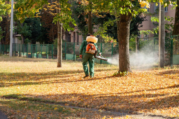 Best Insect Control  in Midland City, AL